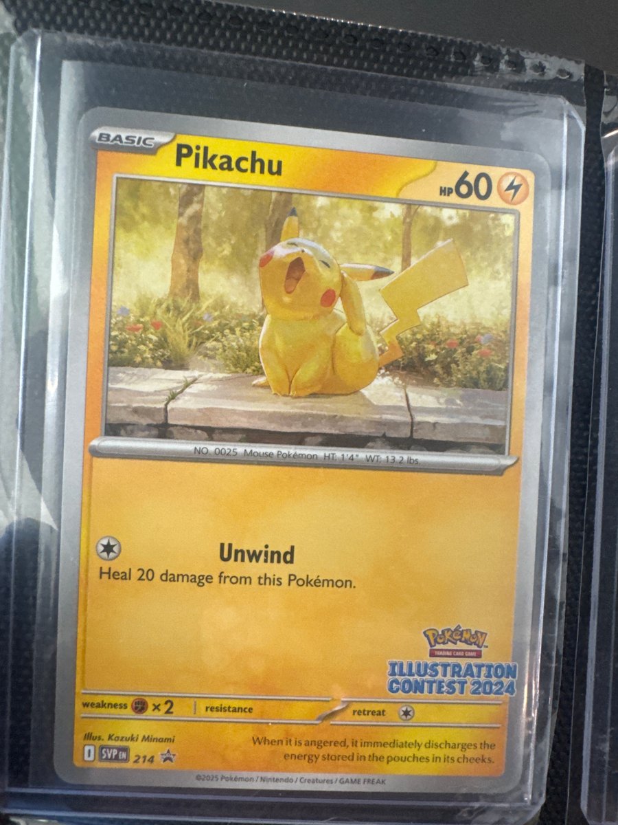 Pikachu - 214 (Illustration Contest 2024)