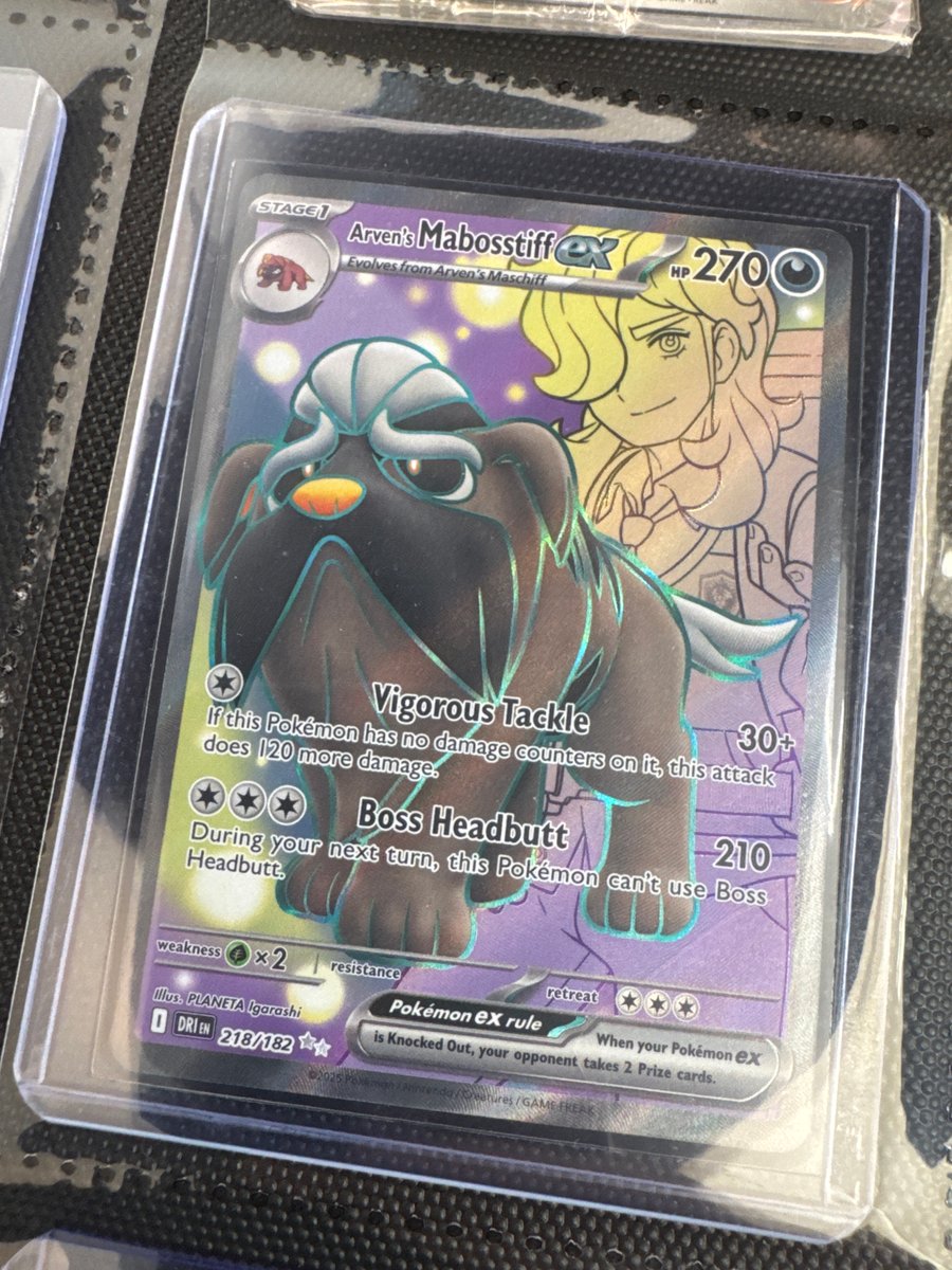 Arven's Mabosstiff ex - 218/182