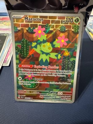 Maractus - 160/159