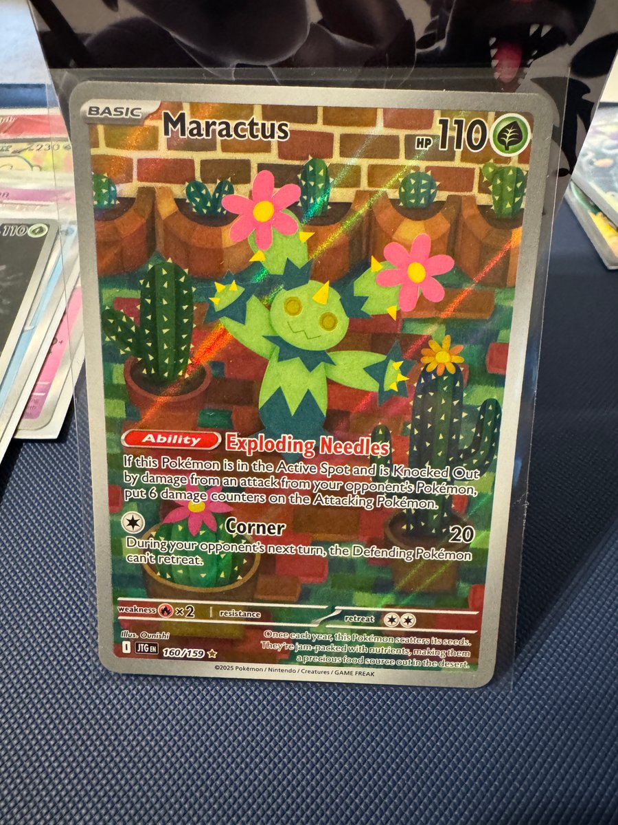 Maractus - 160/159